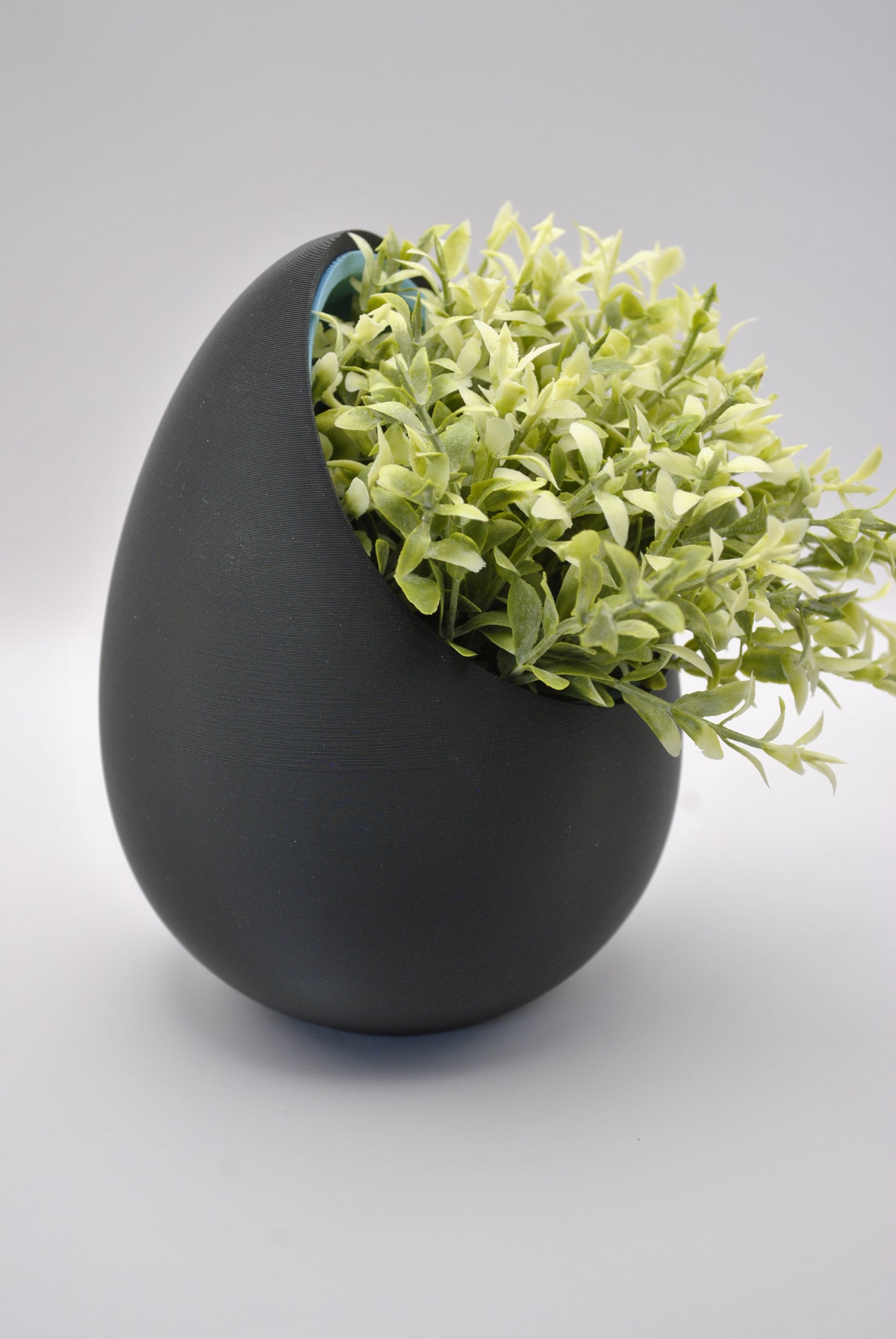 "Egg's Nest"