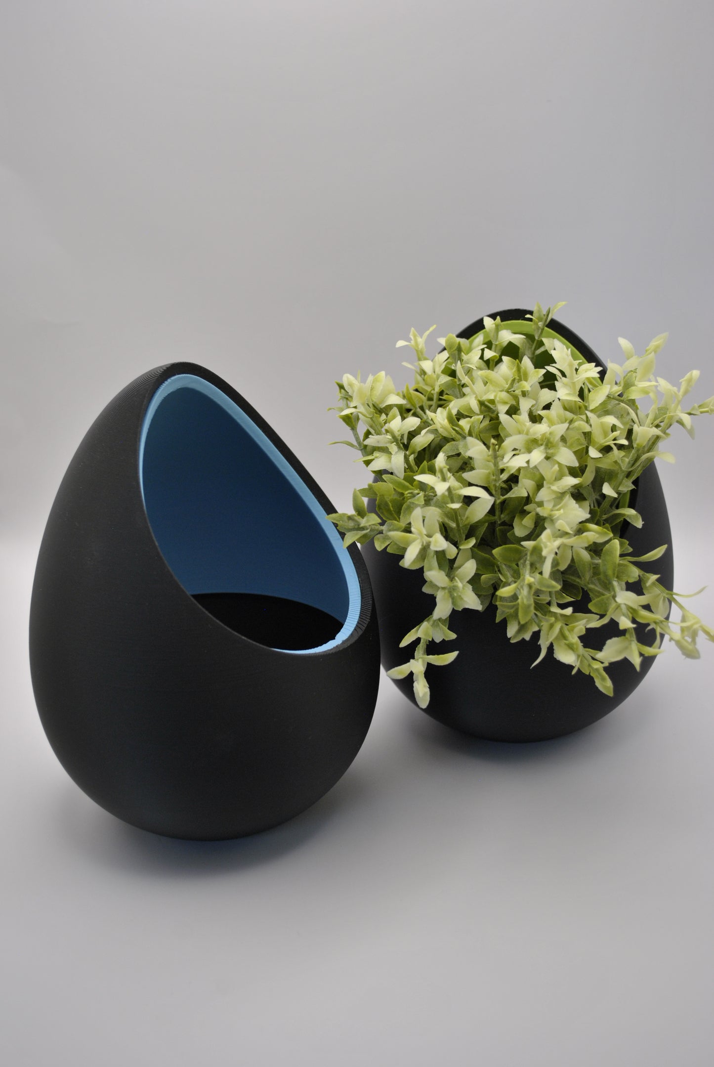 "Egg's Nest"