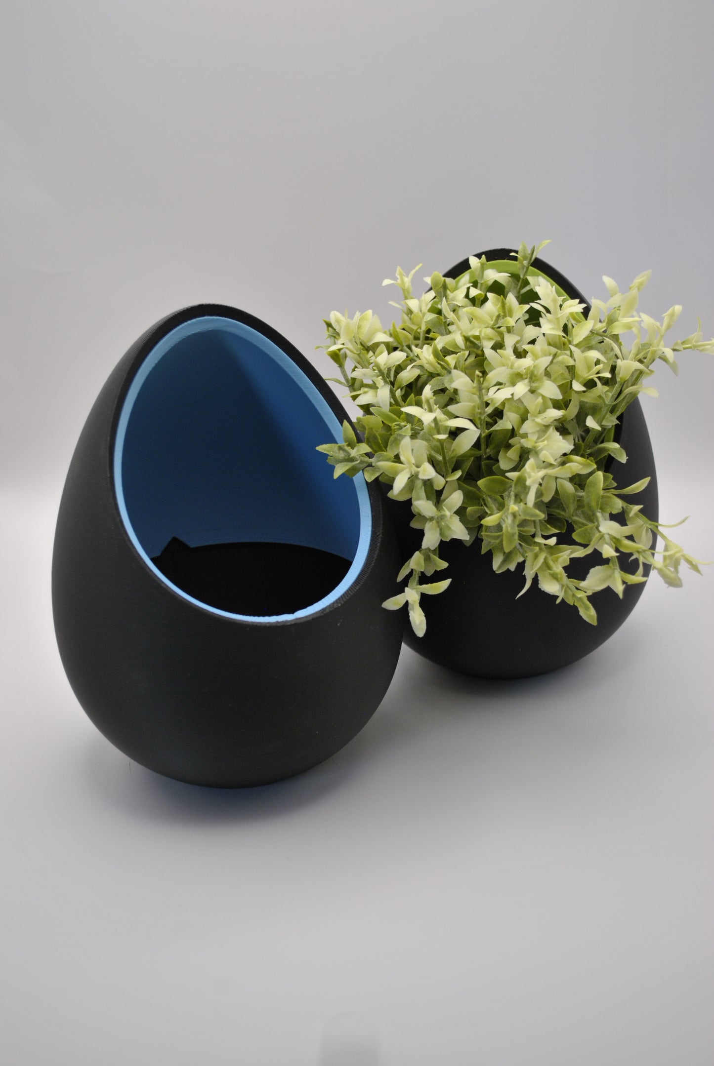 "Egg's Nest"