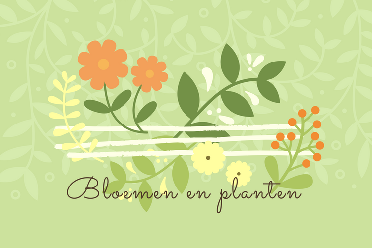 Bloemen en planten