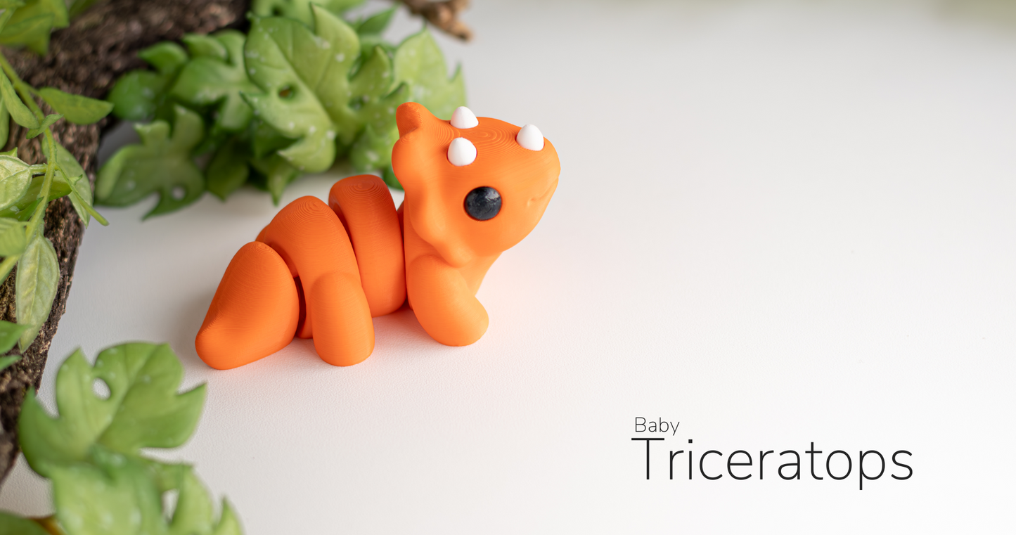 Weebels Baby Triceratops