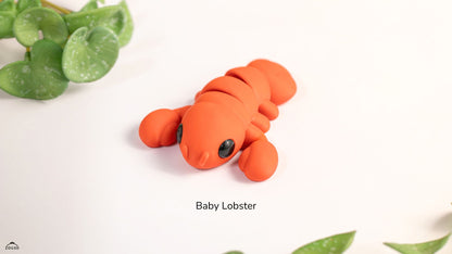 Weebels Baby Lobster